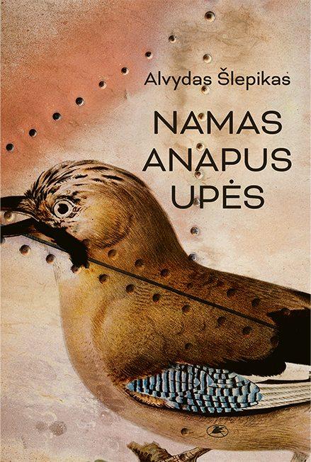 Namas anapus upės